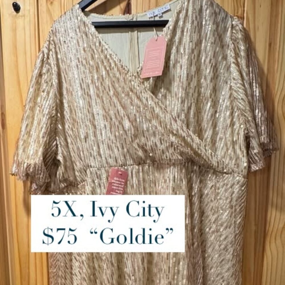 NWT Ivy City Co Goldie Midi Dress Size 5X